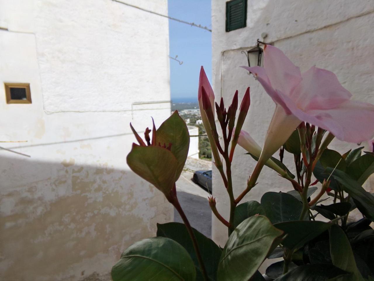 Le Tre Volte Villa Ostuni Exterior foto